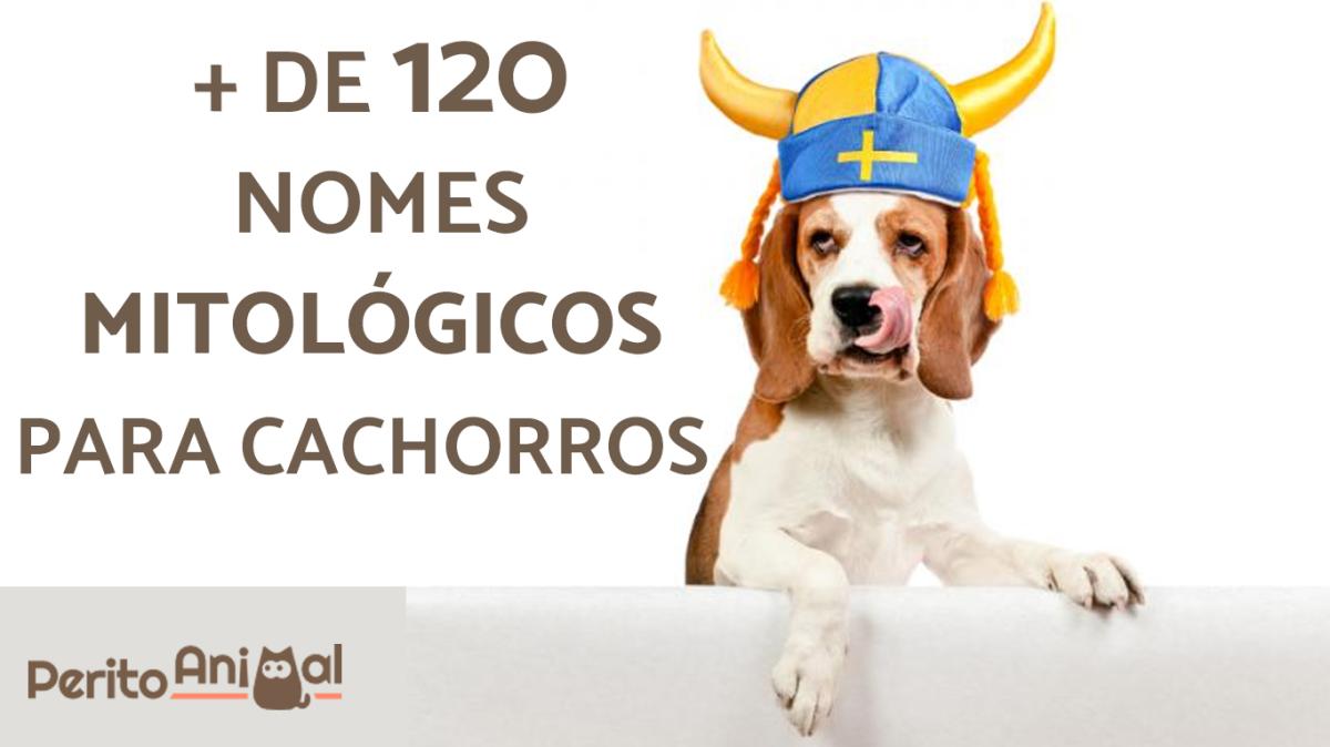 Nomes mitológicos para cachorros