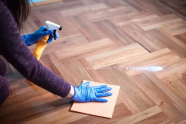 Truques para o cachorro não urinar dentro de casa - 5. Limpe com produtos específicos