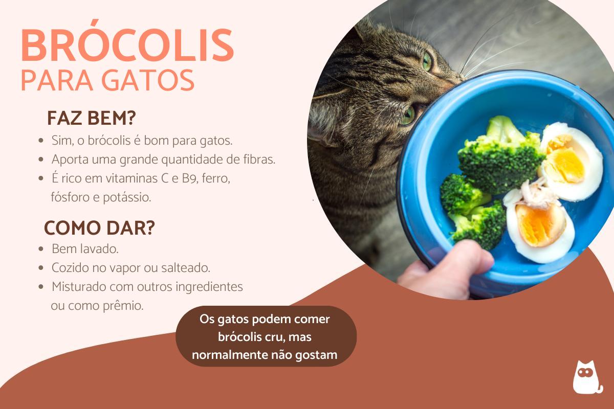 Gatos podem comer brócolis?