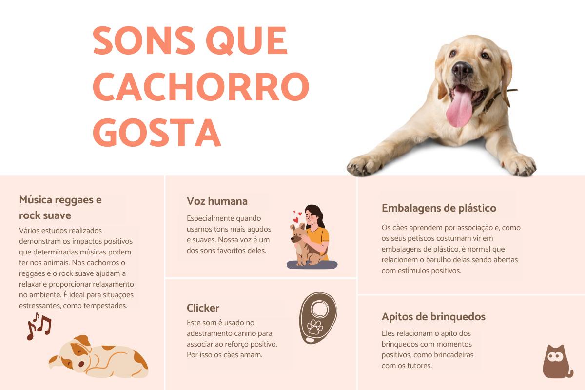 Sons que cachorro gosta
