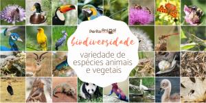 Biodiversidade - Significado, tipos e características