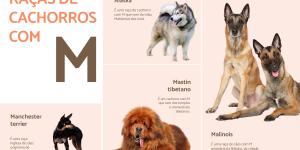 Raças de cães que começam com a letra M