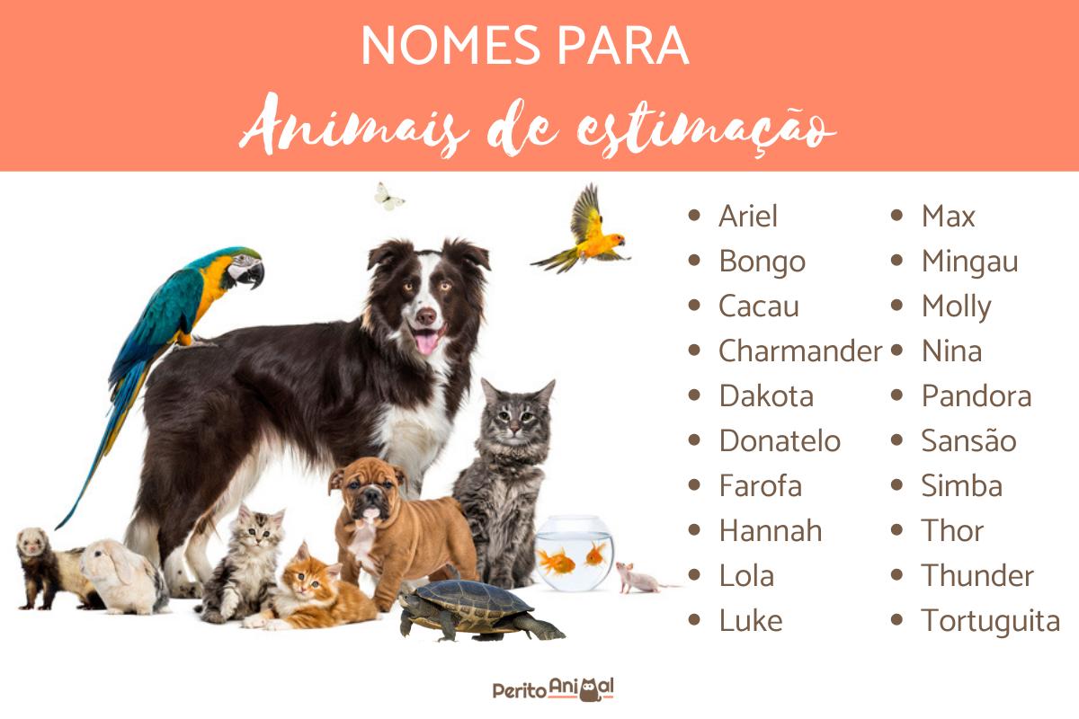 Nomes para animais de estimação