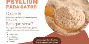 Psyllium para gatos: doses e para que serve