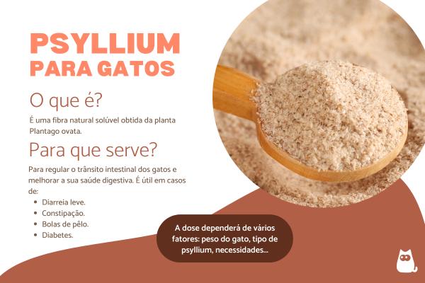 Psyllium para gatos: doses e para que serve