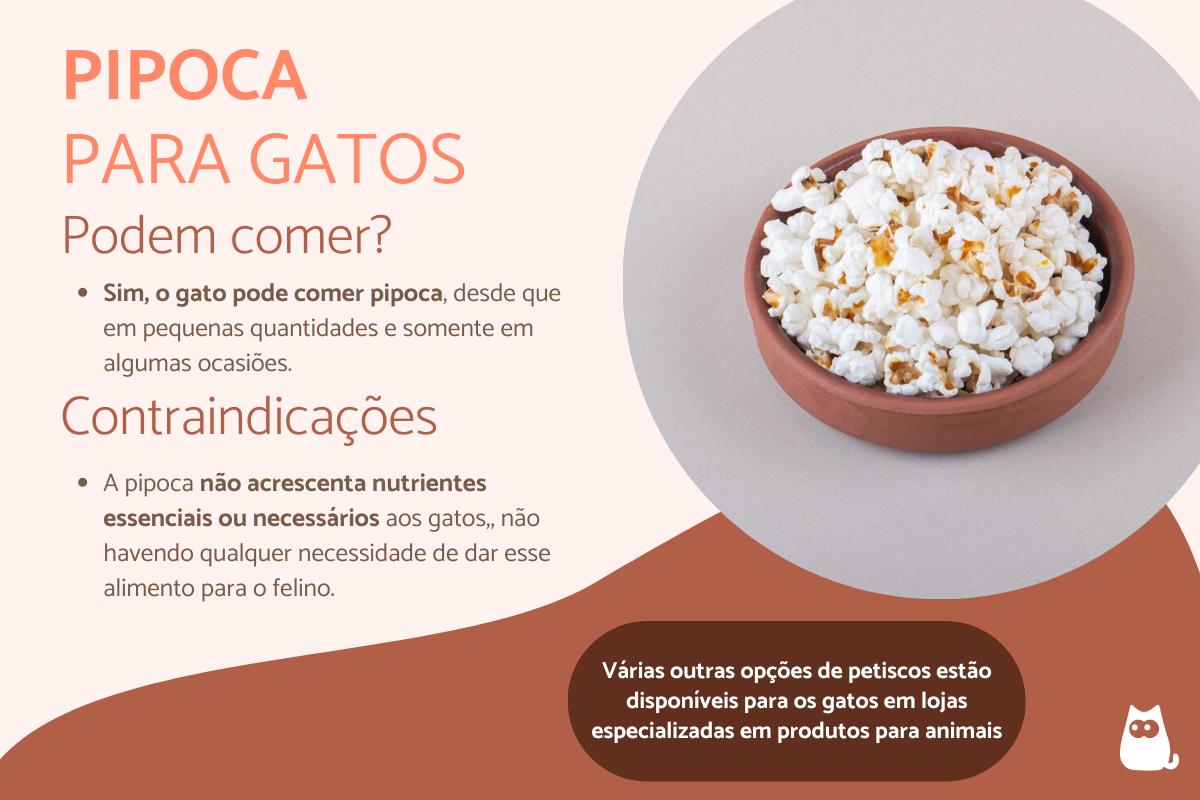 Gato pode comer pipoca?