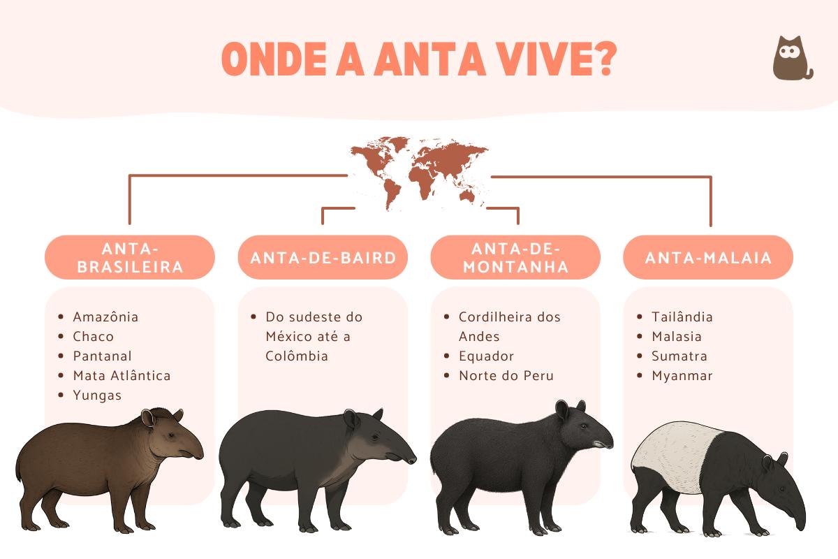 Onde a anta vive?