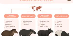 Onde a anta vive?