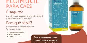 Acetilcisteína para cachorro: doses, usos e efeitos colaterais