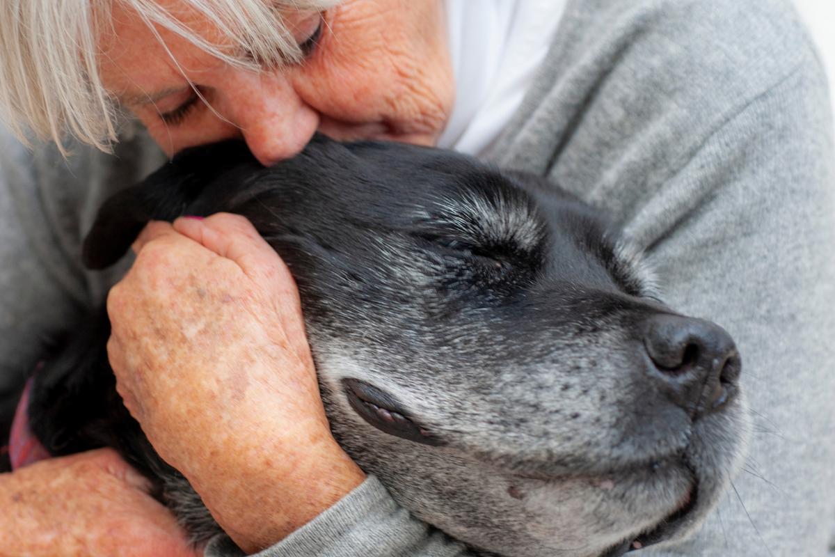 O cachorro sabe quando vai morrer?