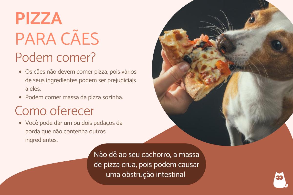 Cachorro pode comer pizza?
