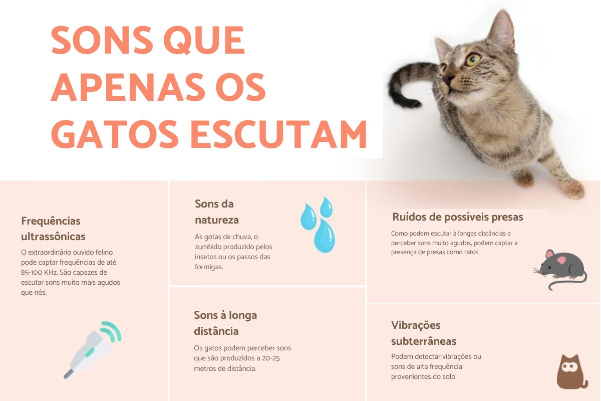 Sons que apenas os gatos conseguem ouvir