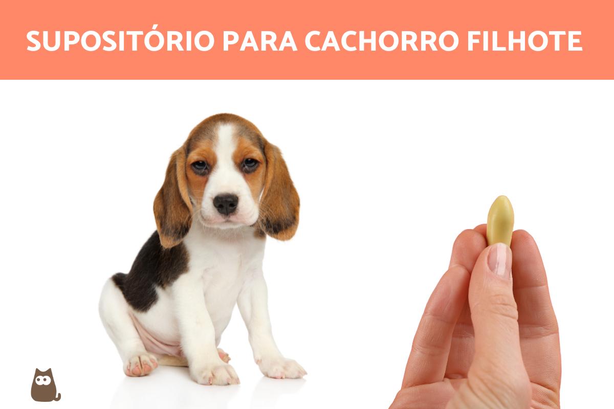 Pode usar supositório em cachorro filhote?