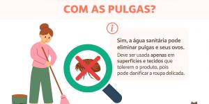 Água sanitária acaba com pulga?