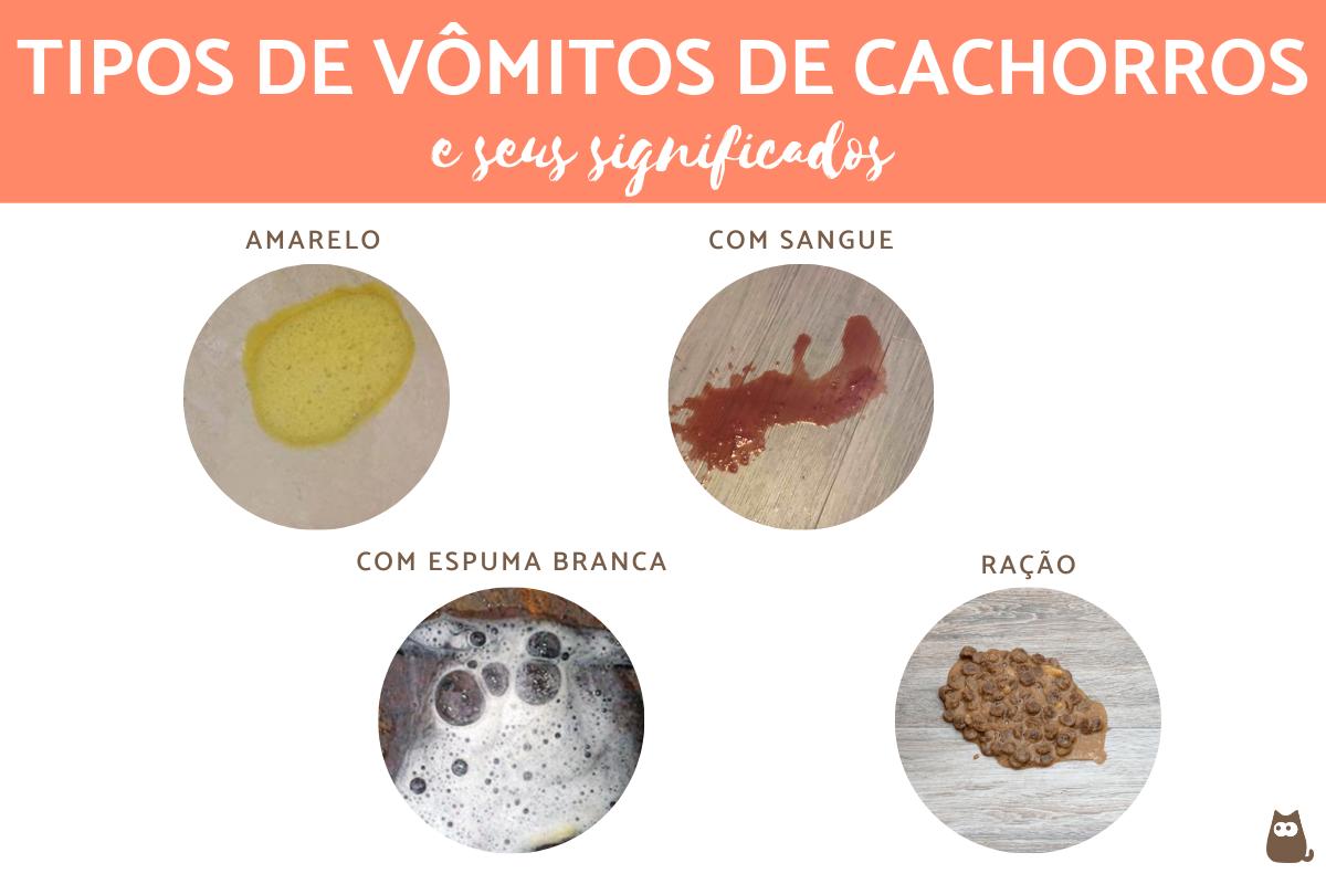 Tipos de vômitos de cachorro