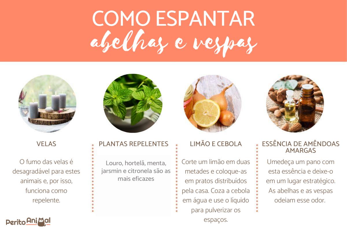 Como espantar abelhas e vespas