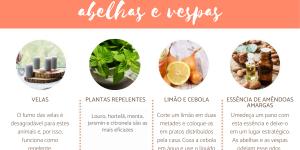 Como espantar abelhas e vespas