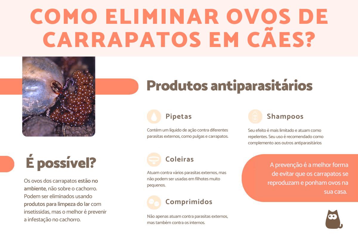 Como eliminar ovos de carrapatos em cães?