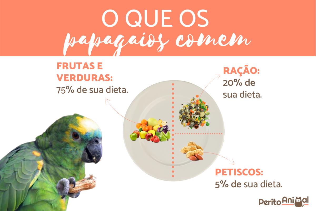 O que papagaio come
