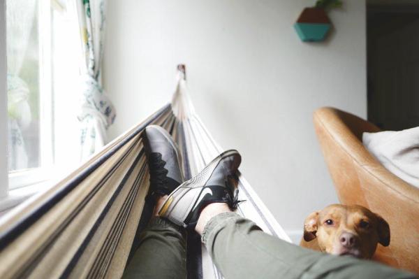Por que os cachorros gostam de dormir nos pés? - Uma questão de amor, não de conforto