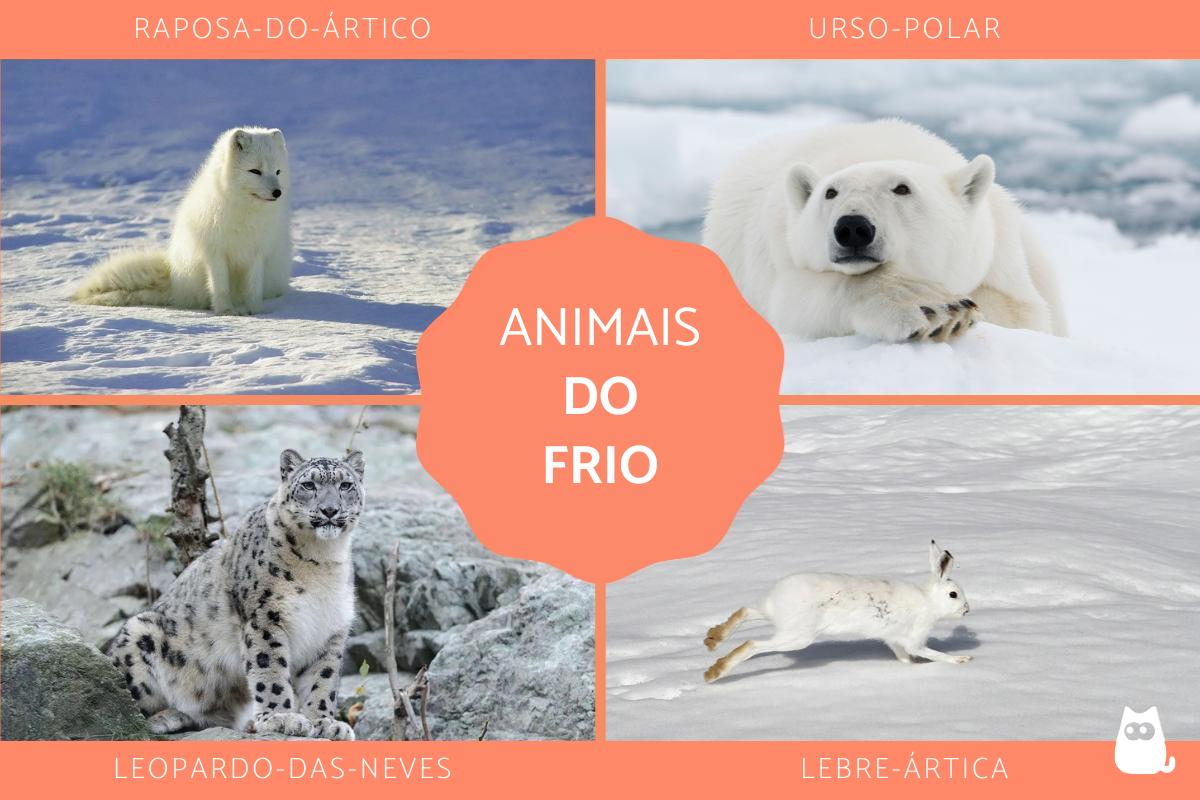 Animais do frio