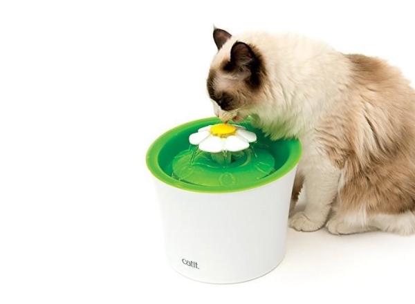 10 presentes de Natal para gatos muito originais - 4. Uma fonte de água