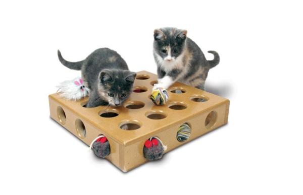 10 presentes de Natal para gatos muito originais - 7. Brinquedos de inteligência