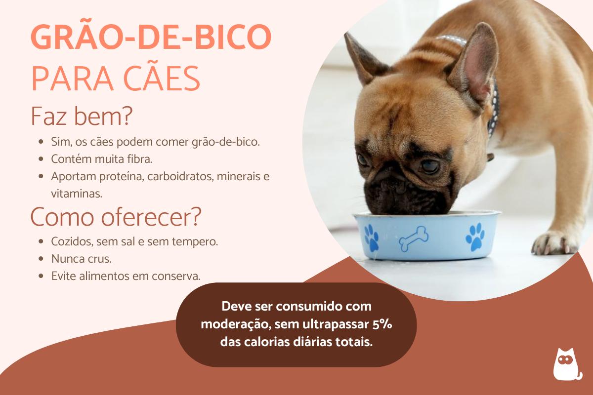 Os cães podem comer grão-de-bico?