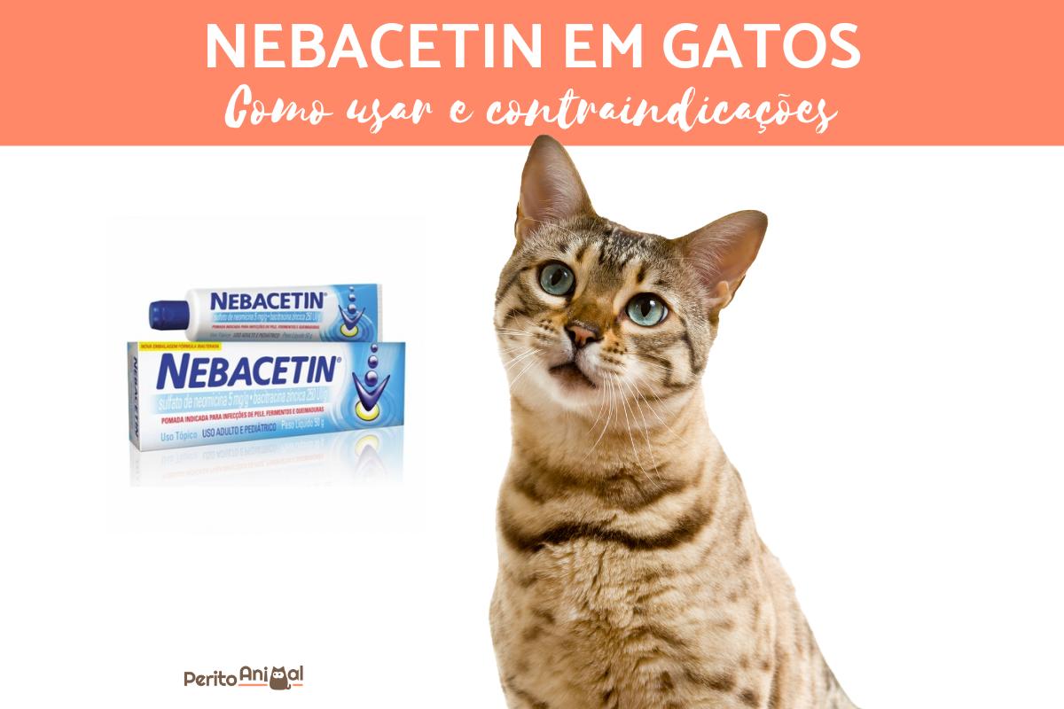 Pode usar Nebacetin em gatos?