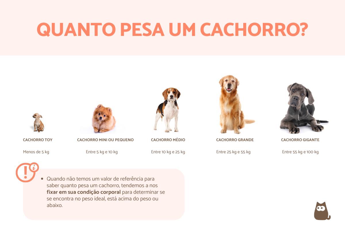 Quanto pesa um cachorro?