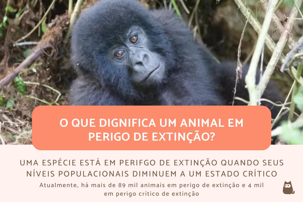 Animais em perigo de extinção - Definição, classificação e exemplos