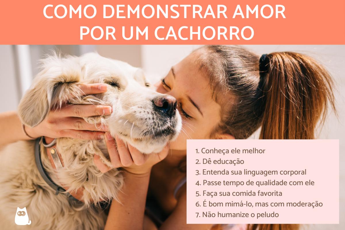 Como demonstrar amor para um cachorro?