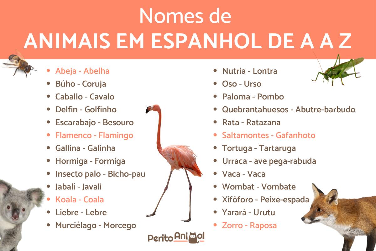 Nomes de animais em espanhol de A a Z