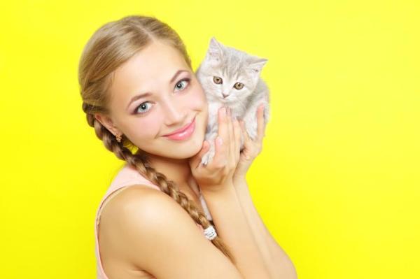 Vantagens de adotar um filhote de gato - Lembre-se que...