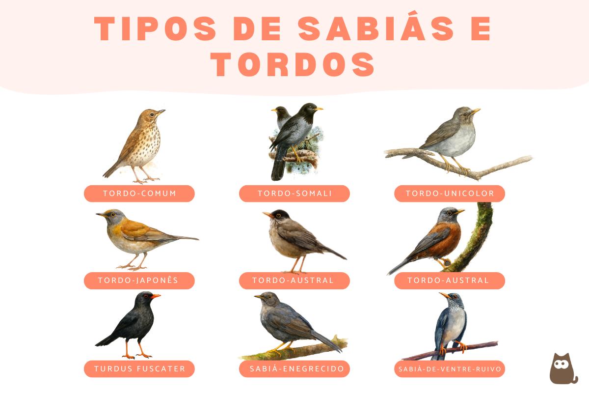 Tipos de sabiás e tordos