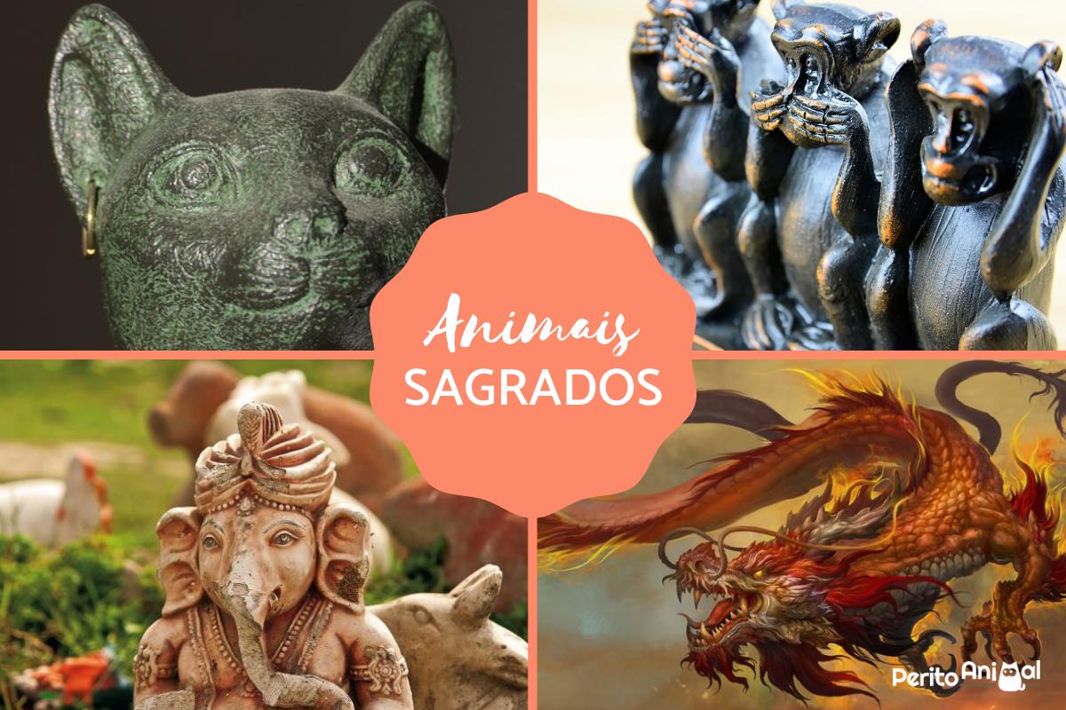 Animais sagrados