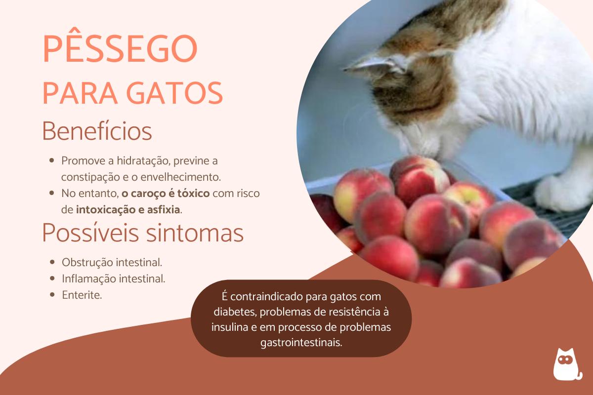 Gato pode comer pêssego?