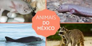 Animais do México