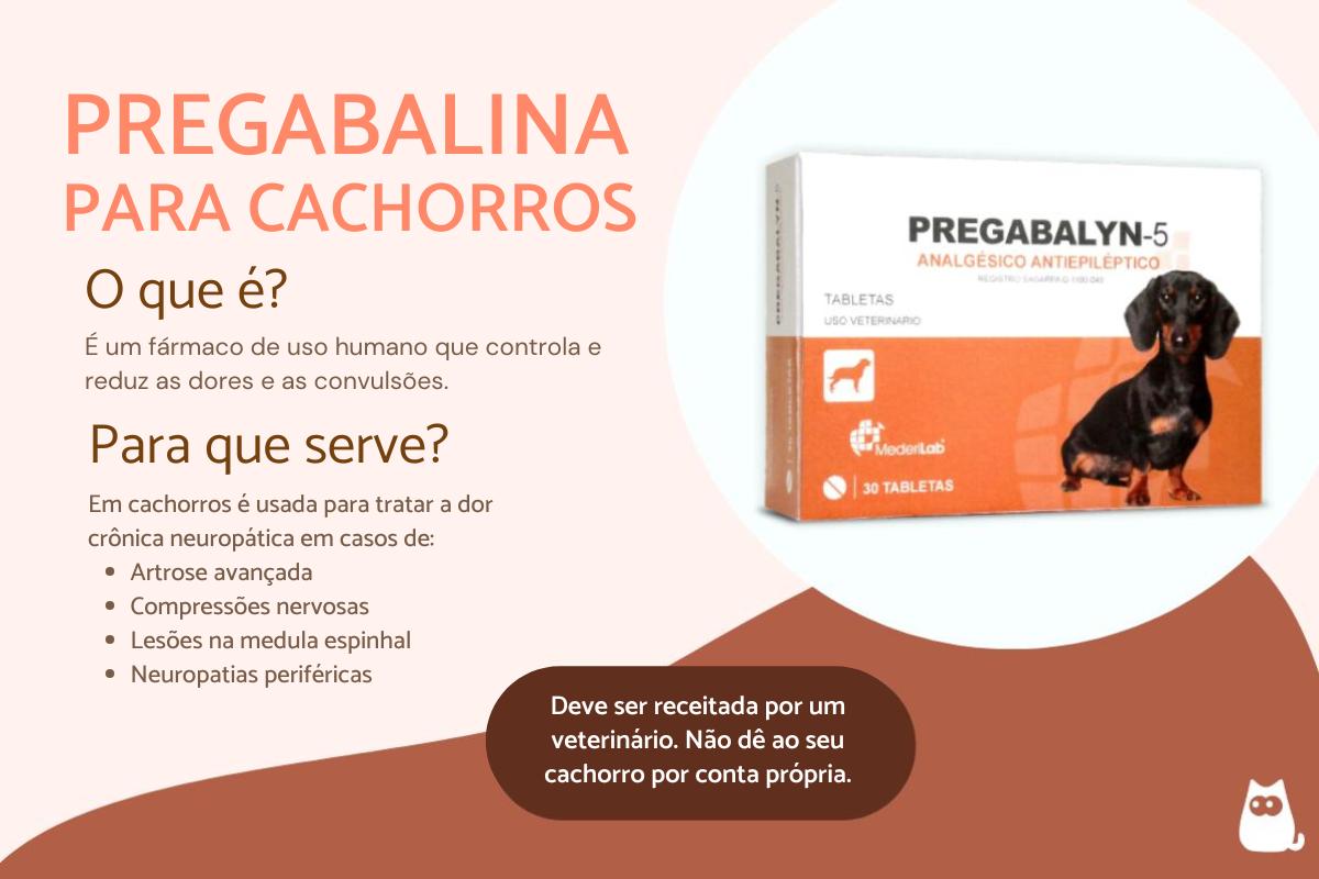 Pregabalina para cães: dose e para que serve