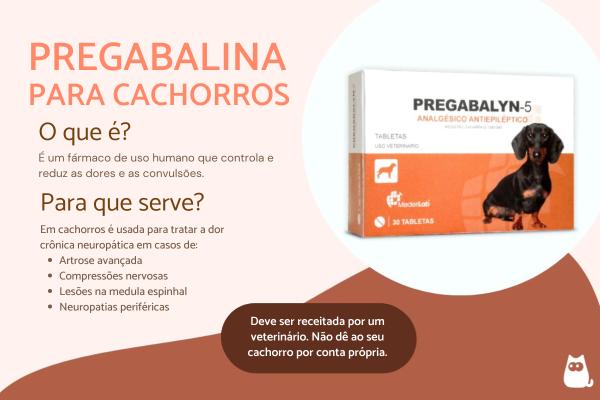 Pregabalina para cães: dose e para que serve