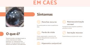 Ceratite pigmentar em cães: causas e tratamento