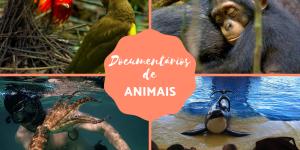 Documentários de animais