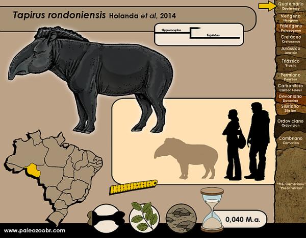 Animais pré-históricos: características e curiosidades -