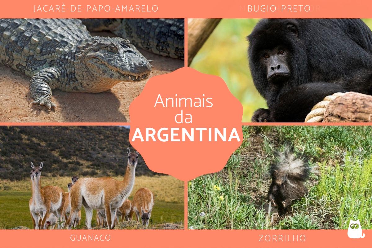 Animais da Argentina