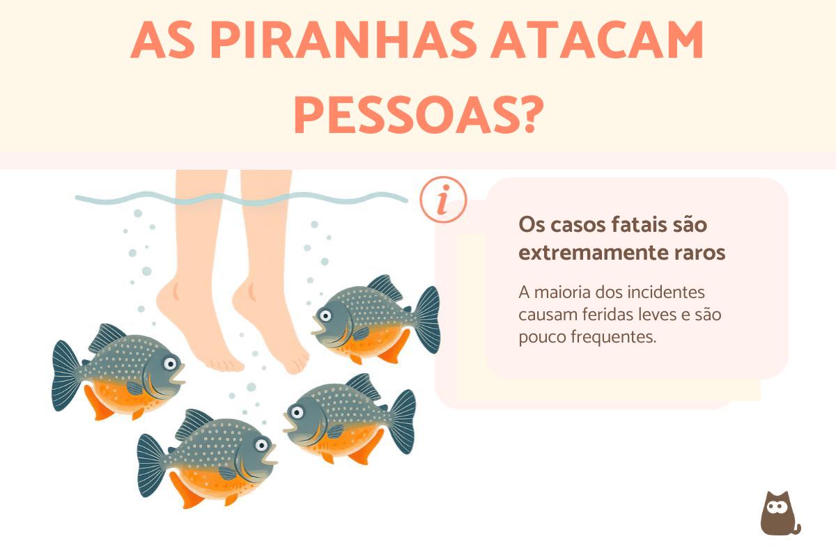Piranhas atacam pessoas?