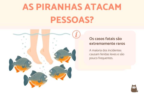 Piranhas atacam pessoas?
