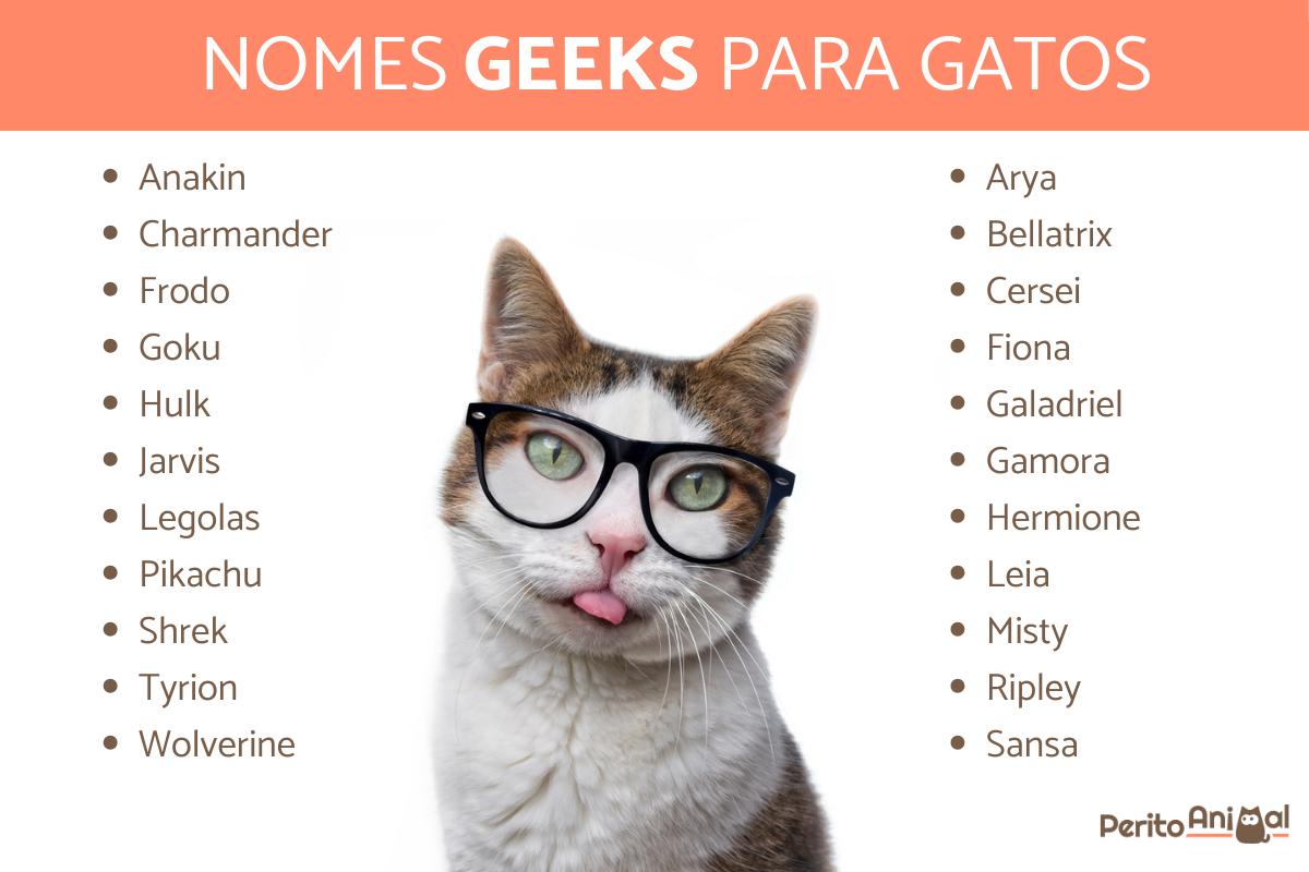 Nomes geeks para gatos