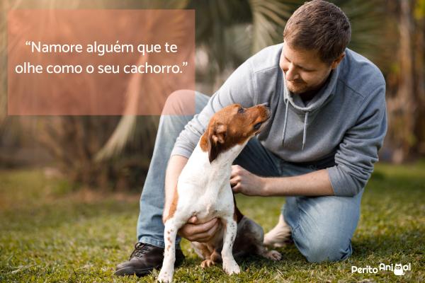 Legendas para fotos de cachorro - Legendas para fotos de cachorro para refletir