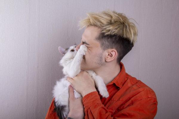 O que significa quando o gato toca no seu rosto? - Meu gato toca meu rosto para me manter afastado?