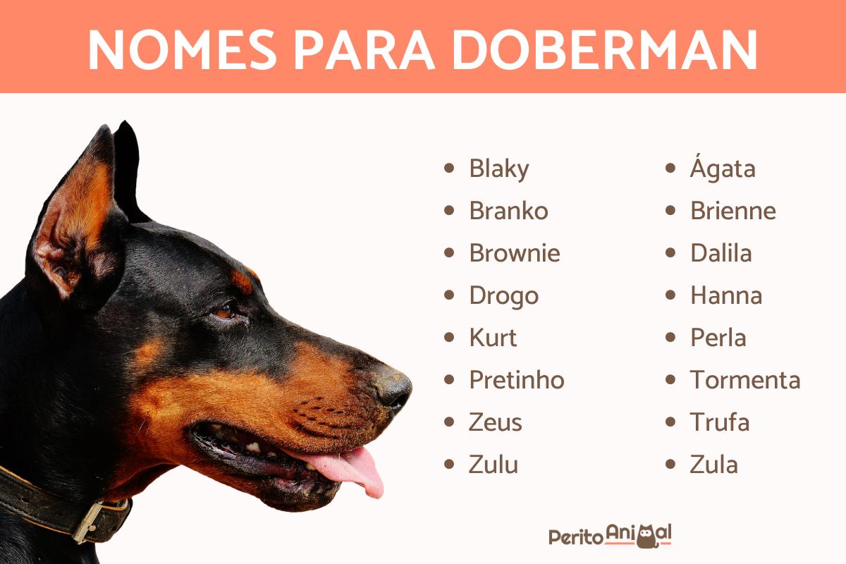 Nomes para doberman macho e fêmea